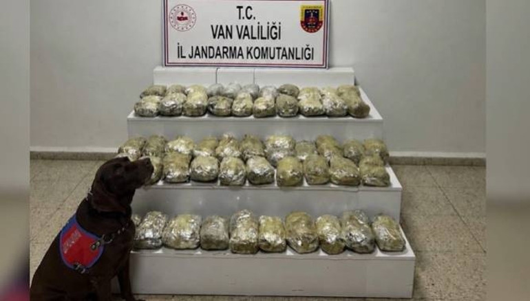 80 şüpheli tutuklandı