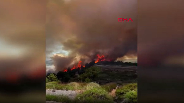 Muğla, Antalya, Balıkesir, Kütahya, Çanakkale ve Yalovada orman yangını Seydikemer, Kumluca ve Edremitte bazı evler tahliye edildi