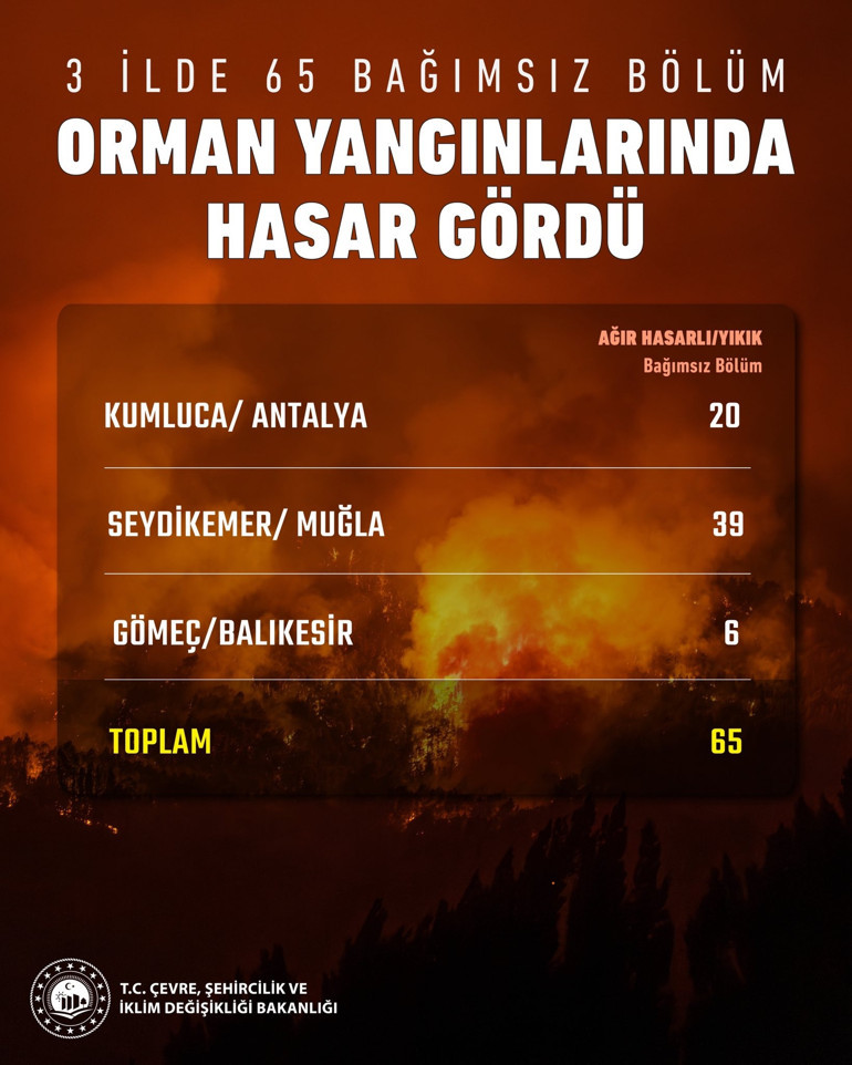 Alevlerle mücadele sürüyor Bakan Yumaklı orman yangınlarındaki son durumu açıkladı: 213 yangın kontrol altına alındı... 10 il için kritik uyarı
