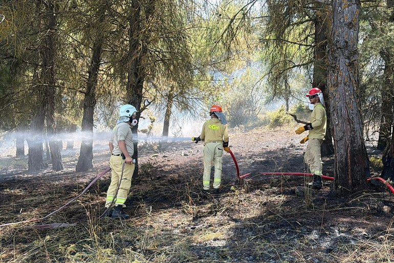 Alevlerle mücadele sürüyor Bakan Yumaklı orman yangınlarındaki son durumu açıkladı: 213 yangın kontrol altına alındı... 10 il için kritik uyarı