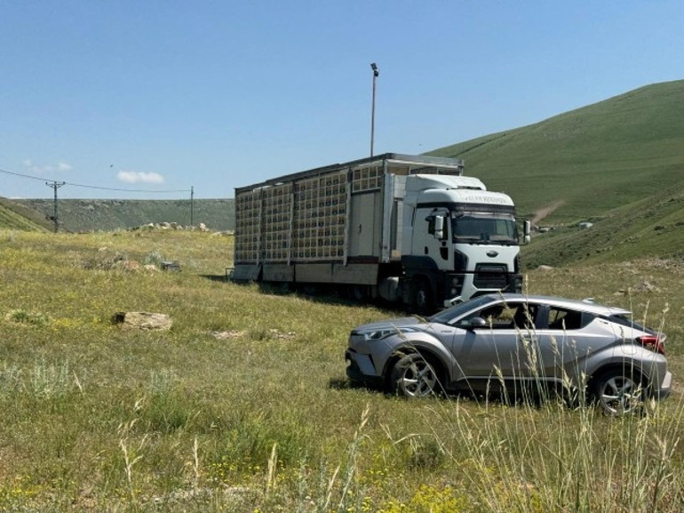 TIR dorsesini mobil bal üretim tesisine dönüştürdü