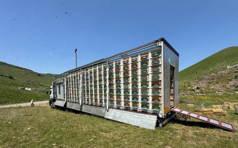 TIR dorsesini mobil bal üretim tesisine dönüştürdü