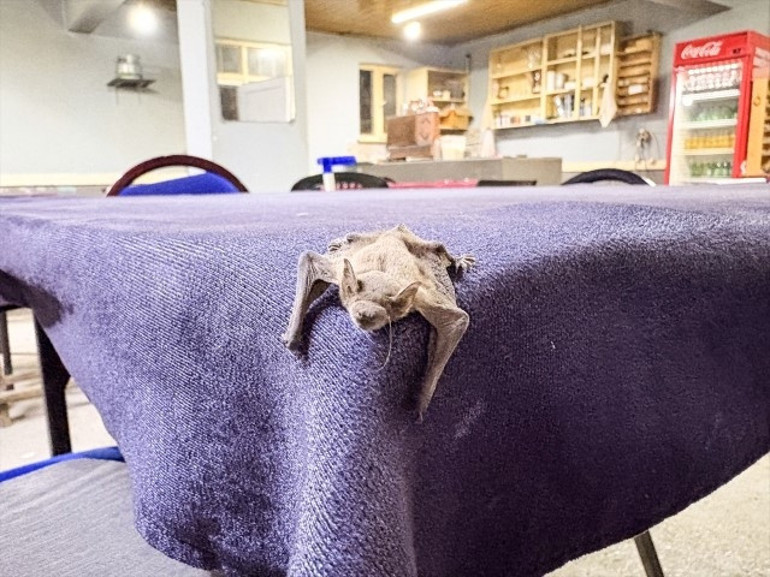 Kahvehaneye girdi, köylüler şaşkına döndü | Sadece filmlerde görüyorduk