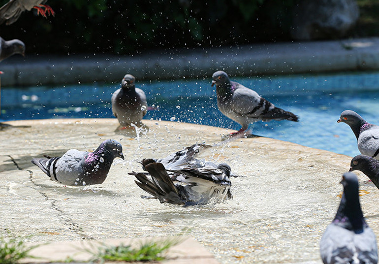  Birçok meydan, cadde ve park boş kaldı