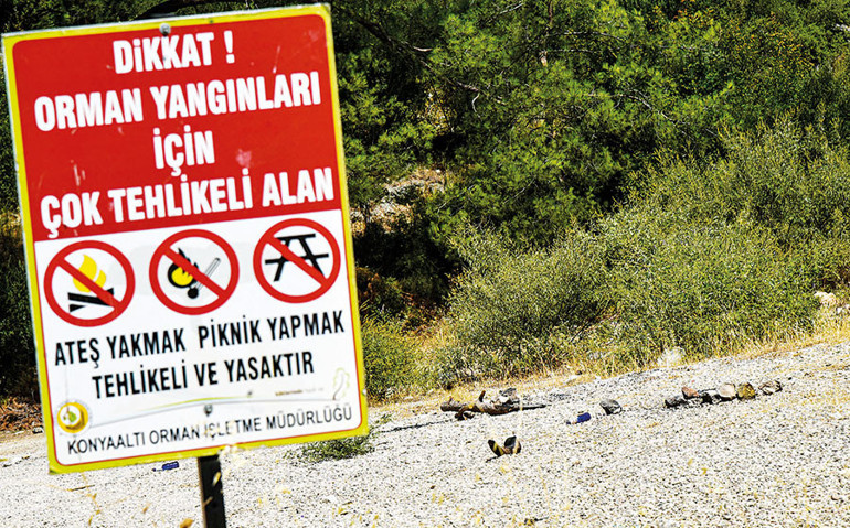 Orman yangınlarını nasıl önleyeceğiz