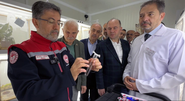 Kahverengi kokarcaya karşı 1 milyon 650 bin samuray arısı