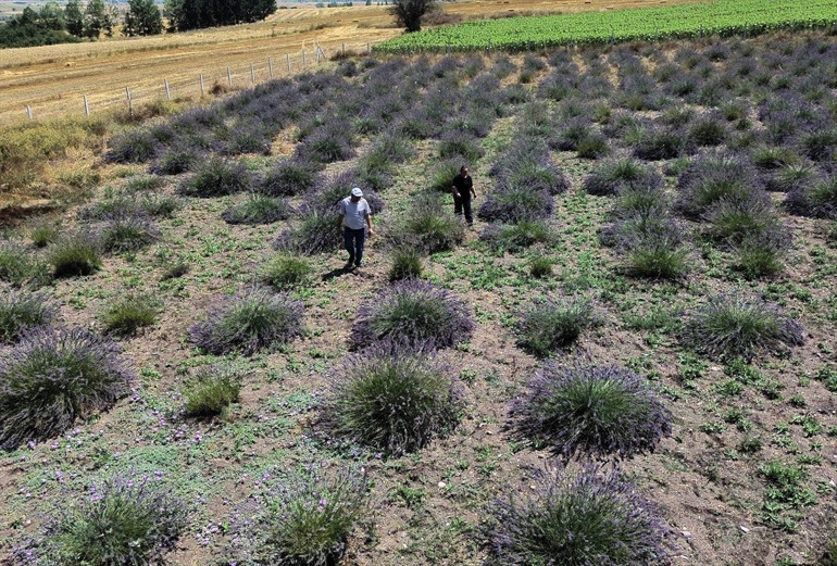26 yıl fabrikada çalıştı, emekli olunca baba mirası hayatını değiştirdi
