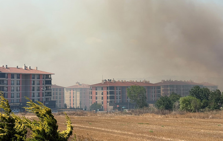 Balıkesirde orman yangını Yerleşim yerine yakın bölgede çok fazla sıkıntımız kalmadı