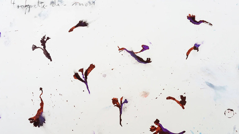 İran çağdaş sanatına açılan kapı: Shiva Zahed Gallery