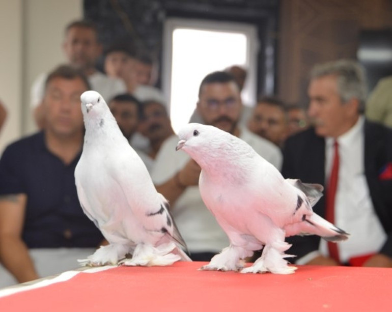 Güvercin deyip geçmeyin Fiyatını duyanlar şok oluyor... Kırmızı halıda boy gösterdiler