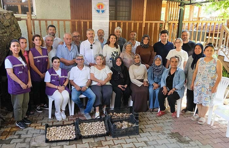 Beyaz Zambak’ta ilk hasat başladı