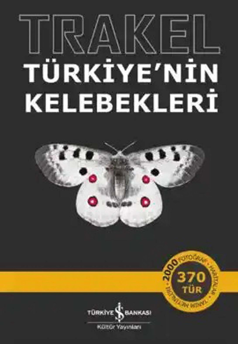 Türkiye’nin kelebekleri kayıt altında