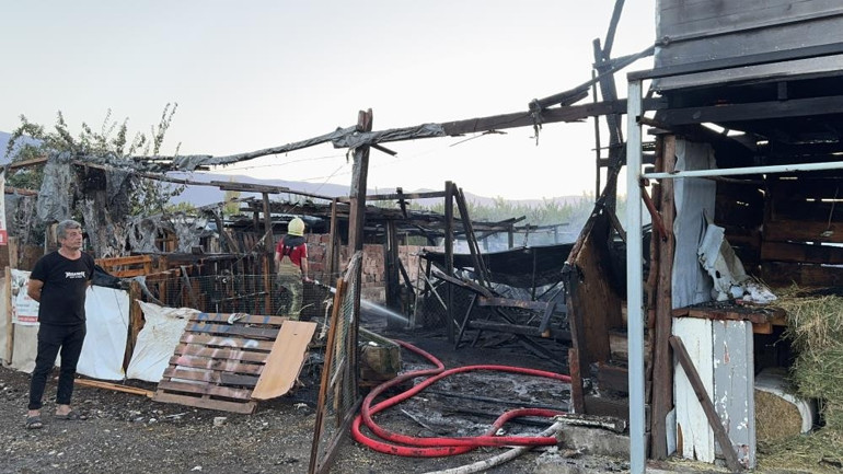 Bursada çiftlik alev alev yandı