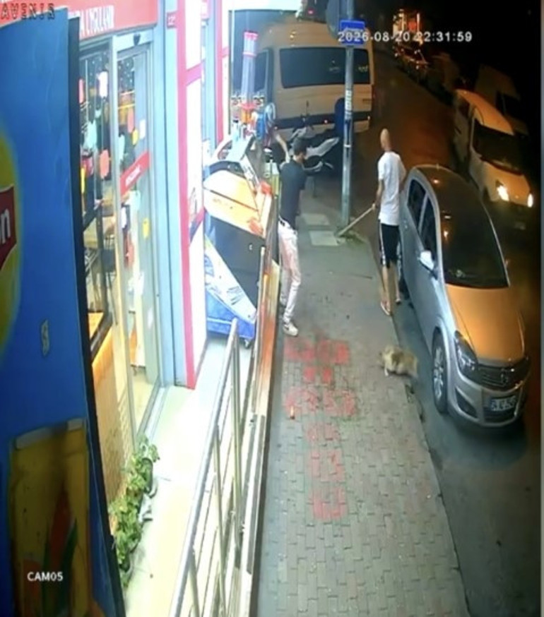 Mahallelinin beslediği Bambiye saldırıp öldürdü