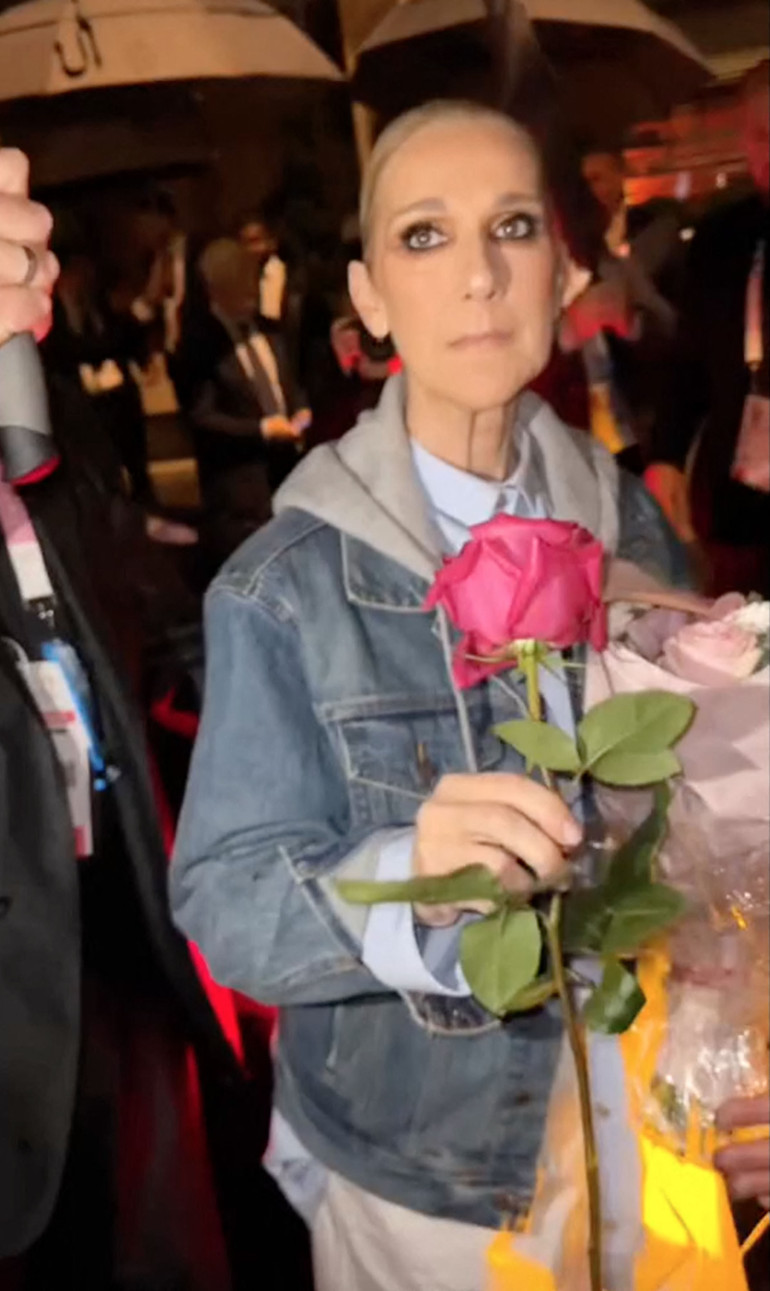 Celine Dion sahnelere dönüyor: Çok özledim