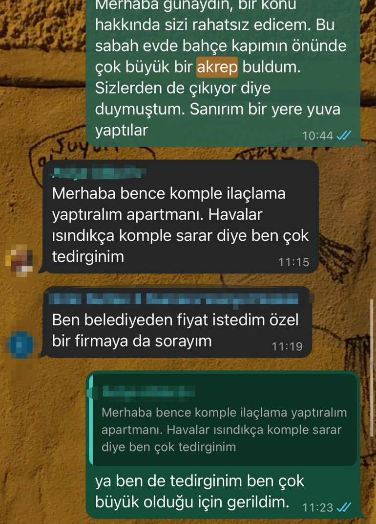 Evlerin içine kadar giriyor, yüksek katlara çıkıyorlar: İstanbul’da akrep paniği Zehirli olduğu nasıl anlaşılır Hangi önlemler alınmalı