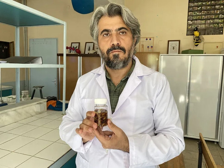 Evlerin içine kadar giriyor, yüksek katlara çıkıyorlar: İstanbul’da akrep paniği Zehirli olduğu nasıl anlaşılır Hangi önlemler alınmalı