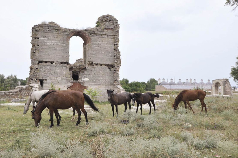 Topkapı Sarayı’nın 250 dönümlük bahçesi ziyarete açılacak