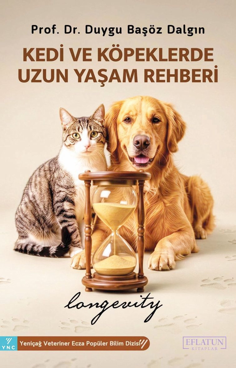 Yaşanan felaketin sebebi iklim değişikliği olabilir