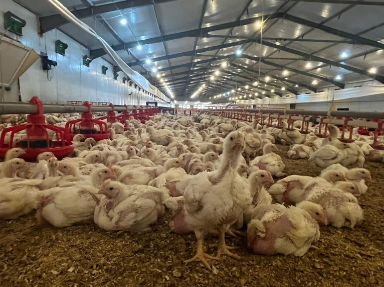 Eşinin vefatıyla hayatı değişti Memuriyeti bırakıp, işi daha da büyüttü