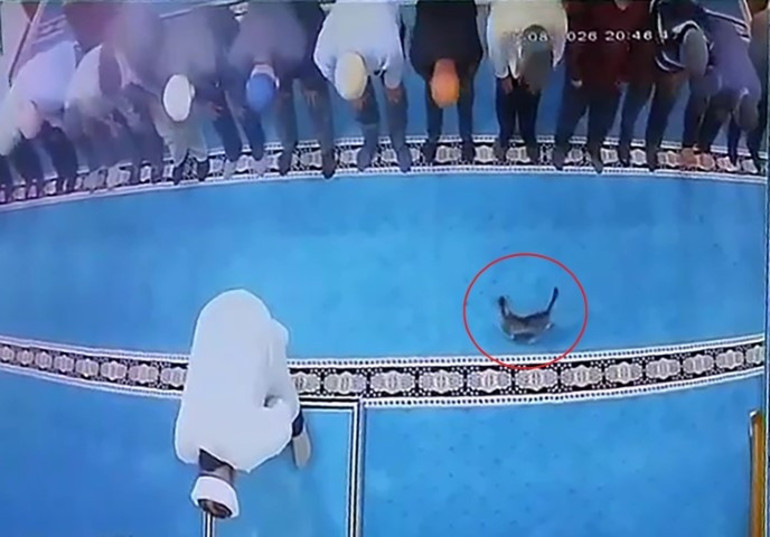 Vicdansız adam gözaltına alındı