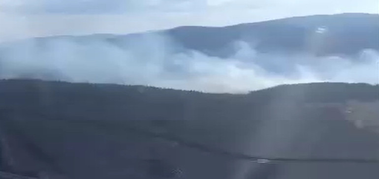 Aydın, Bolu ve Antalyada alevlere havadan ve karadan müdahale