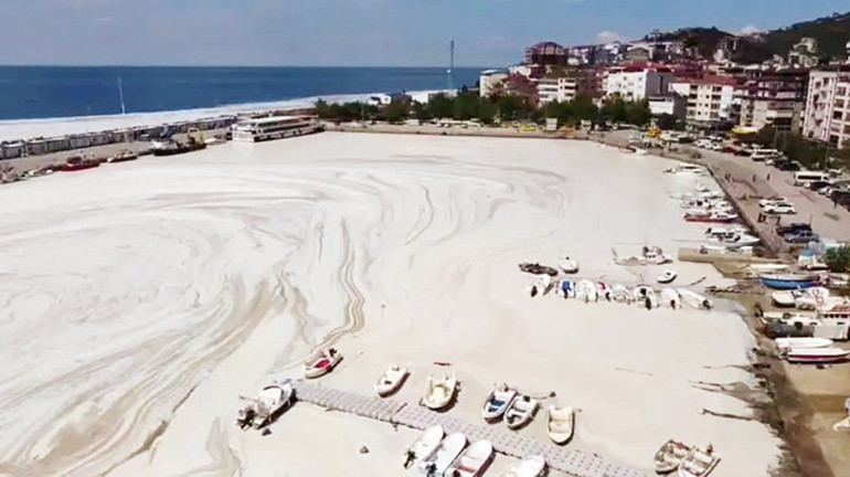 Denizlerin kanserine 400 milyon Euro’luk çare