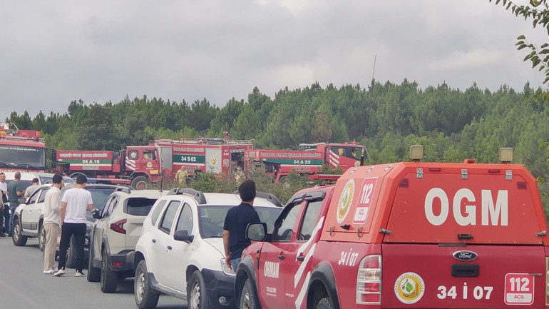 İstanbul ve Ankarada orman yangını Havadan, karadan müdahale