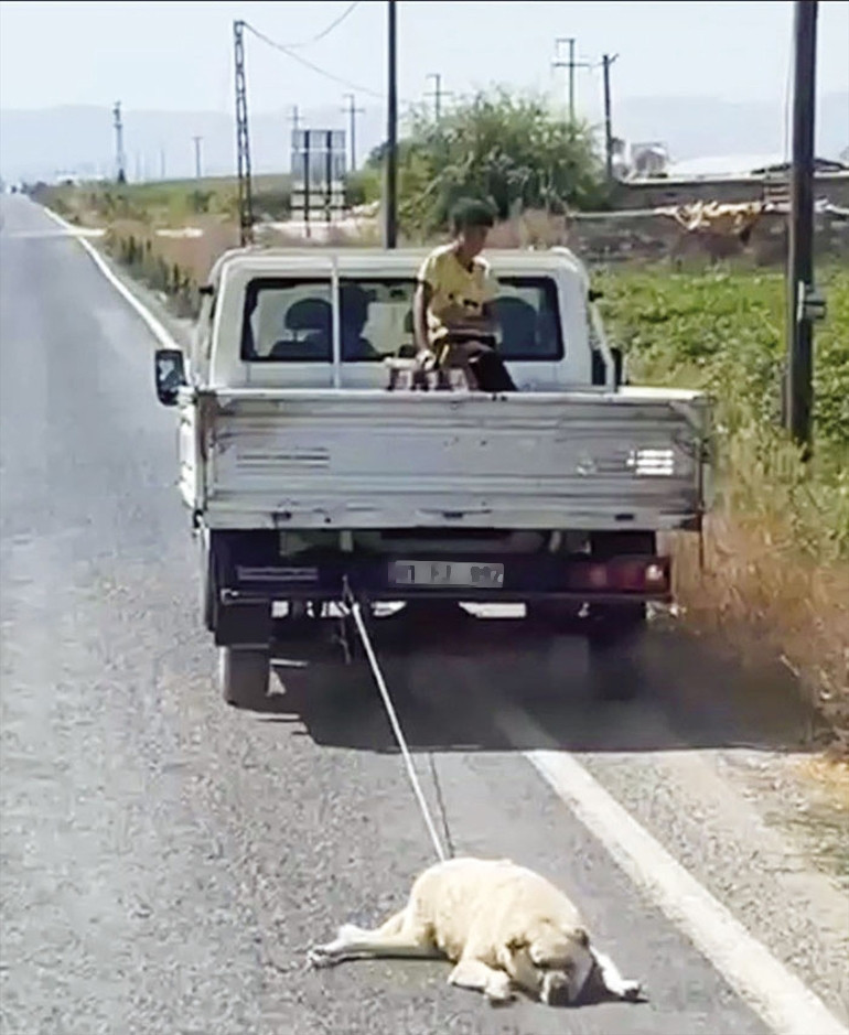 İşte vefanın ve alçaklığın fotoğrafı