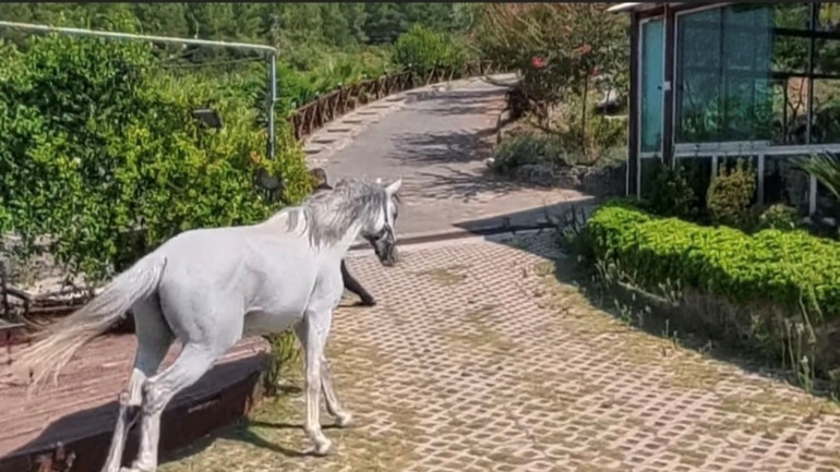 Klip çekiminde ilginç anlar: Video yayılınca telefonu susmadı