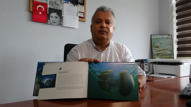 Çanakkale Boğazında yoğun bir şekilde görülmeye başladı: Kuyruk bölgesine pek temas etmesinler diyerek uyardı