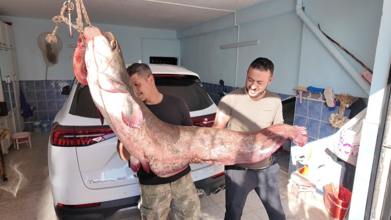 3 arkadaş gözlerine inanamadı Sivastaki nehirde tuttular: Tam 190 santim uzunluğunda