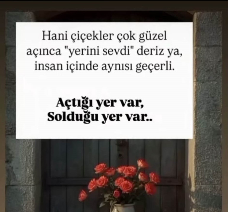 Hatayda kadın cinayeti Emine öldürülmeden 2 saat önce art arda 2 paylaşım yapmış