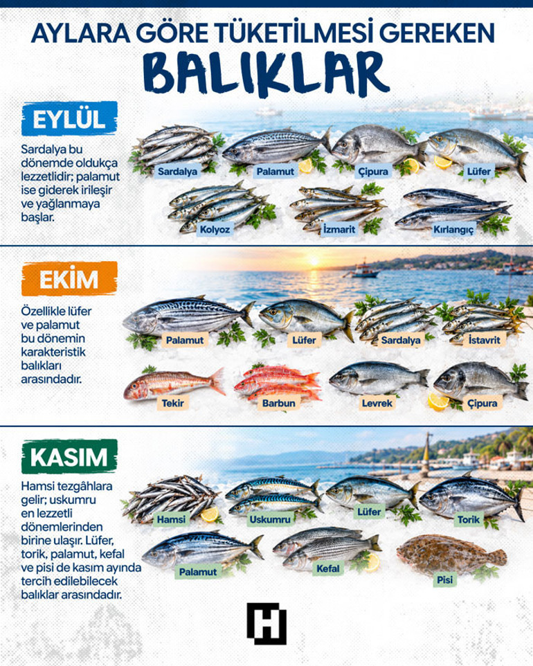 Tezgahtan sofraya tam bir sağlık kalkanı: Hangi balık hangi ayda yenmeli, nasıl pişirilmeli