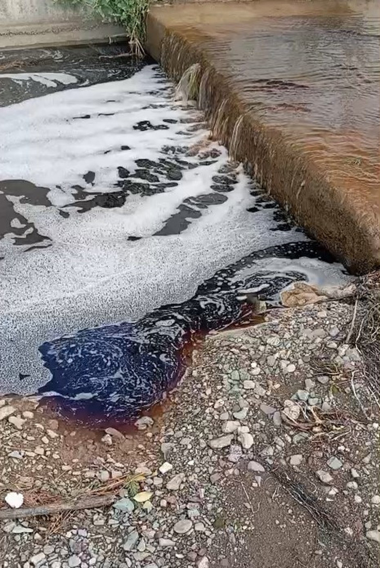 Yalovada deniz yüzeyinde dikkat çeken görüntü