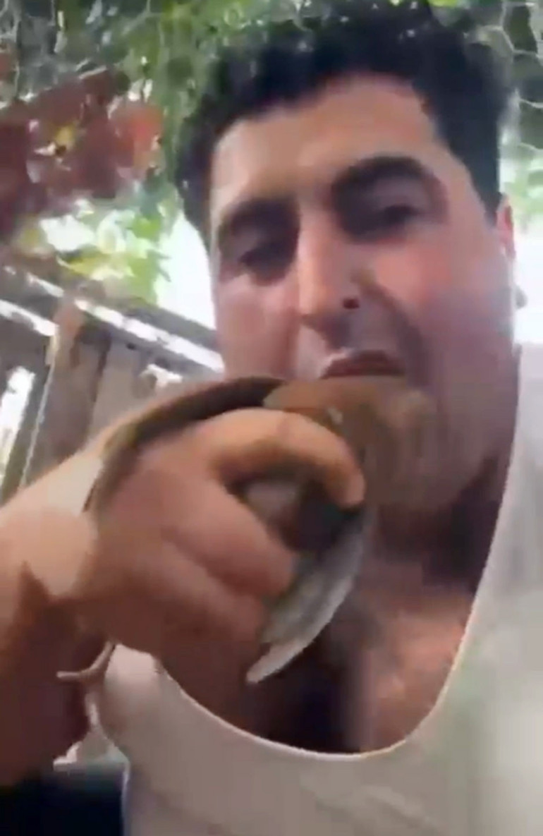 Kuşları vahşice katledip görüntüleri sanal medyada paylaşmıştı: Yusufcan Turay tutuklandı