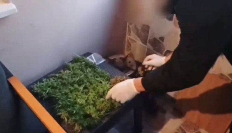 Sakarya’da özel harekat destekli ‘Sokaklar Güvende’ baskınlarında 19 gözaltı