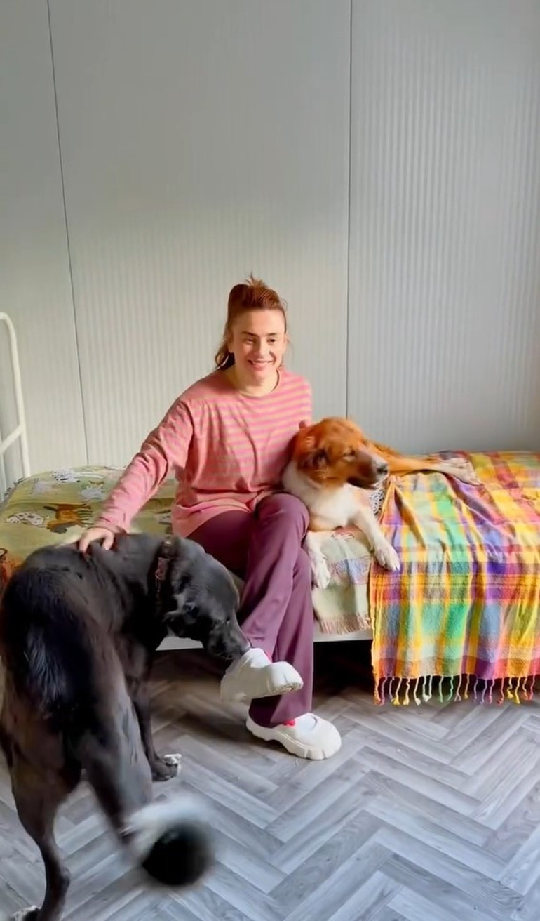 Ceylan Ertemden köpeklerine ev aldı İçini tek tek kendi hazırladı...