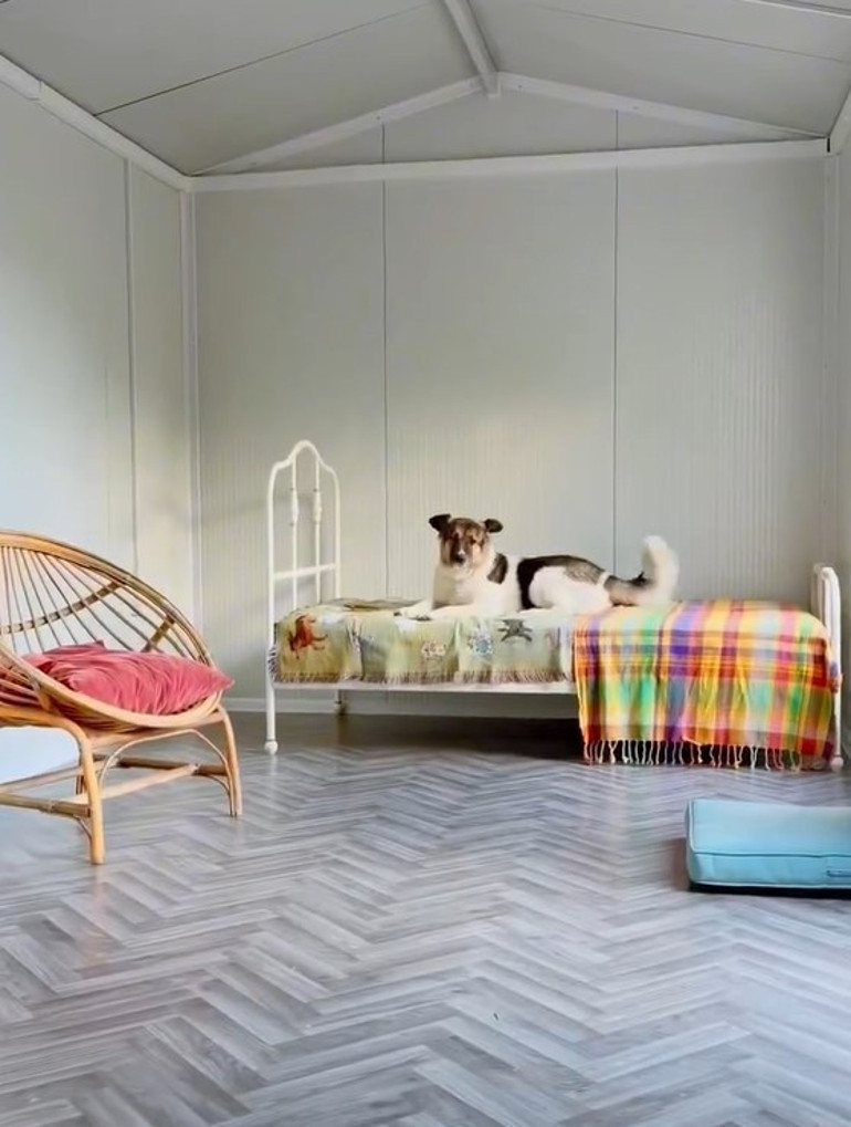 Ceylan Ertemden köpeklerine ev aldı İçini tek tek kendi hazırladı...