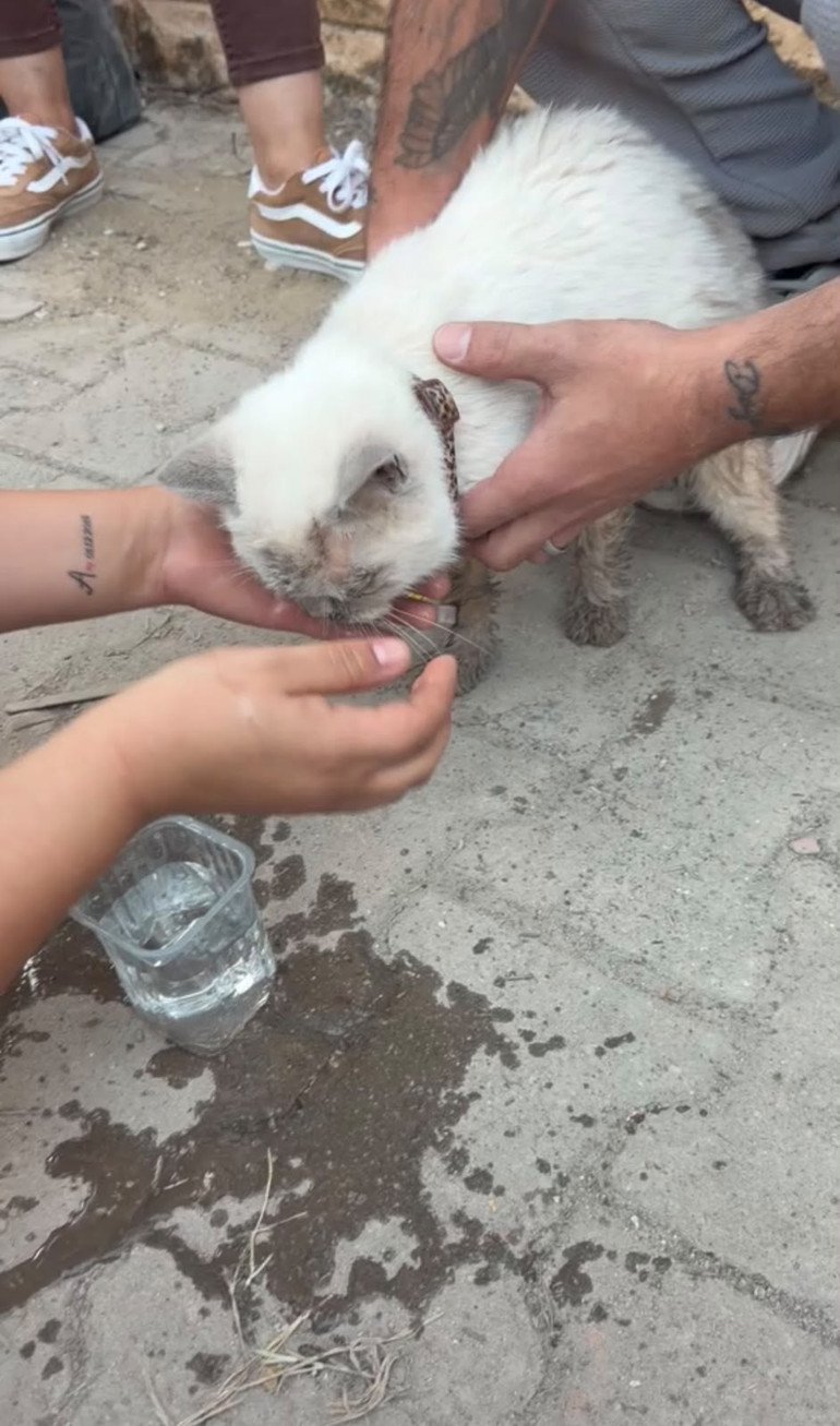 Acı tesadüf... Maltepe’de acı bilanço: Ölü sayısı 5’e yükseldi