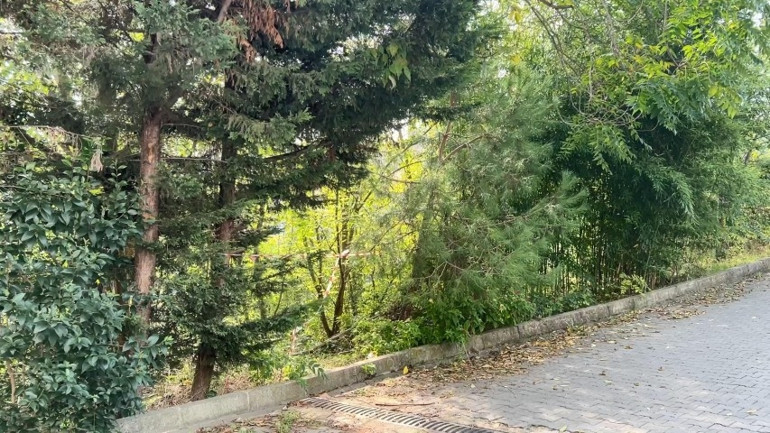 Günlerdir aranan Yusuf’tan acı haber Ağaçlık alanda ölü bulundu, son görüntüleri ortaya çıktı