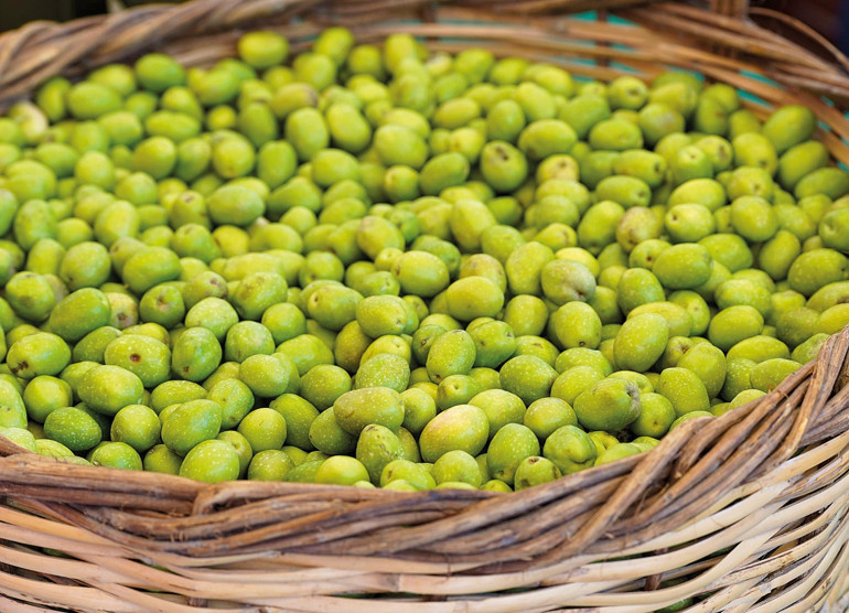Tarsus zeytin şölenine hazırlanıyor