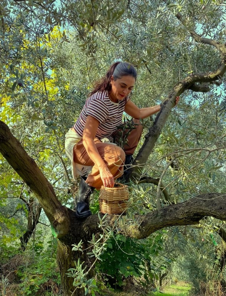 Aslıhan Gürbüz bahçeye girdi... “Bu yıl zeytin yüzümü güldürdü”