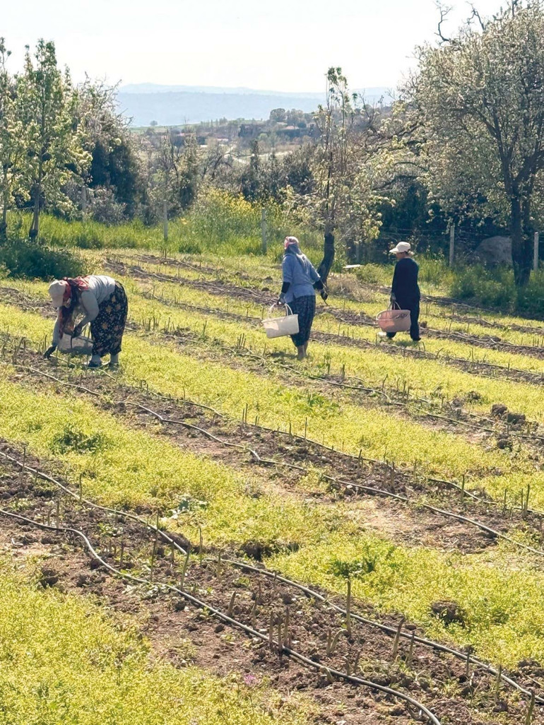 Kaynaklar nüfusun 1,2 katını besleyebilecekken neden hâlâ her üç insandan biri aç