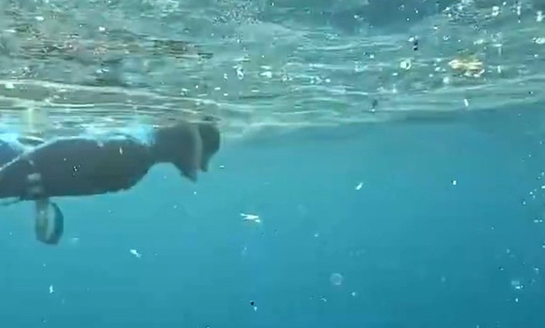 Antalya’da deniz içi plastik kirliliği havadan ve su altından görüntülendi ‘Bu sularda yüzmeyin’ uyarısı