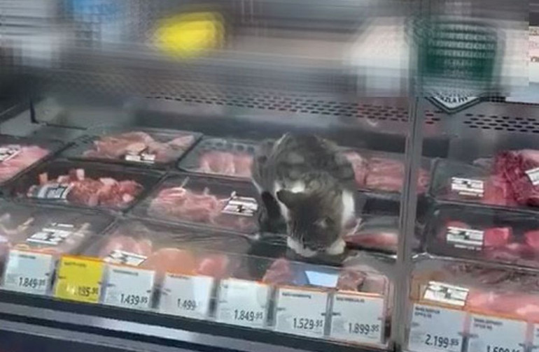 Zincir marketteki görüntü sonrası harekete geçildi: Ürünlere el konuldu, para cezası kesildi