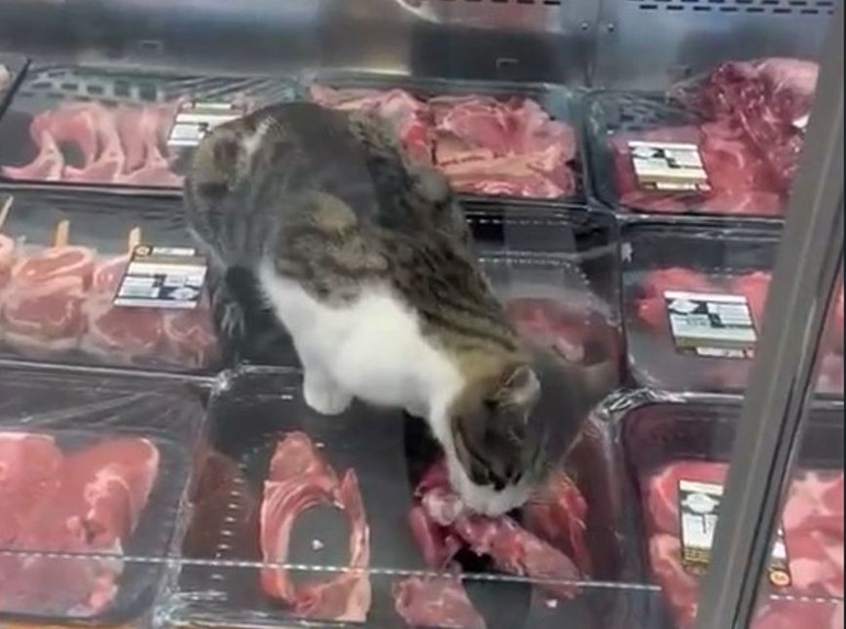 Zincir marketteki görüntü sonrası harekete geçildi: Ürünlere el konuldu, para cezası kesildi