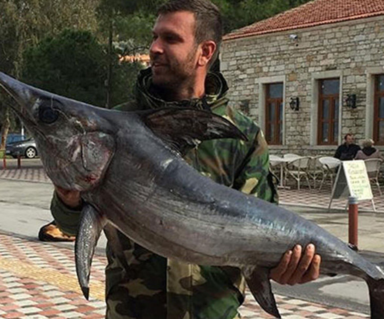 Müsilaj bazı şeyleri götürdü ama... Hamsi bitti lüfer bollaştı gırgırlar kaçtı! Marmarada neler oluyor?