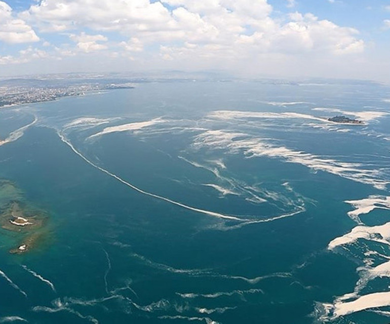 Müsilaj bazı şeyleri götürdü ama... Hamsi bitti lüfer bollaştı gırgırlar kaçtı! Marmarada neler oluyor?
