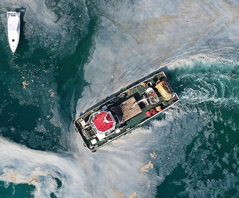 Müsilaj bazı şeyleri götürdü ama... Hamsi bitti lüfer bollaştı gırgırlar kaçtı! Marmarada neler oluyor?